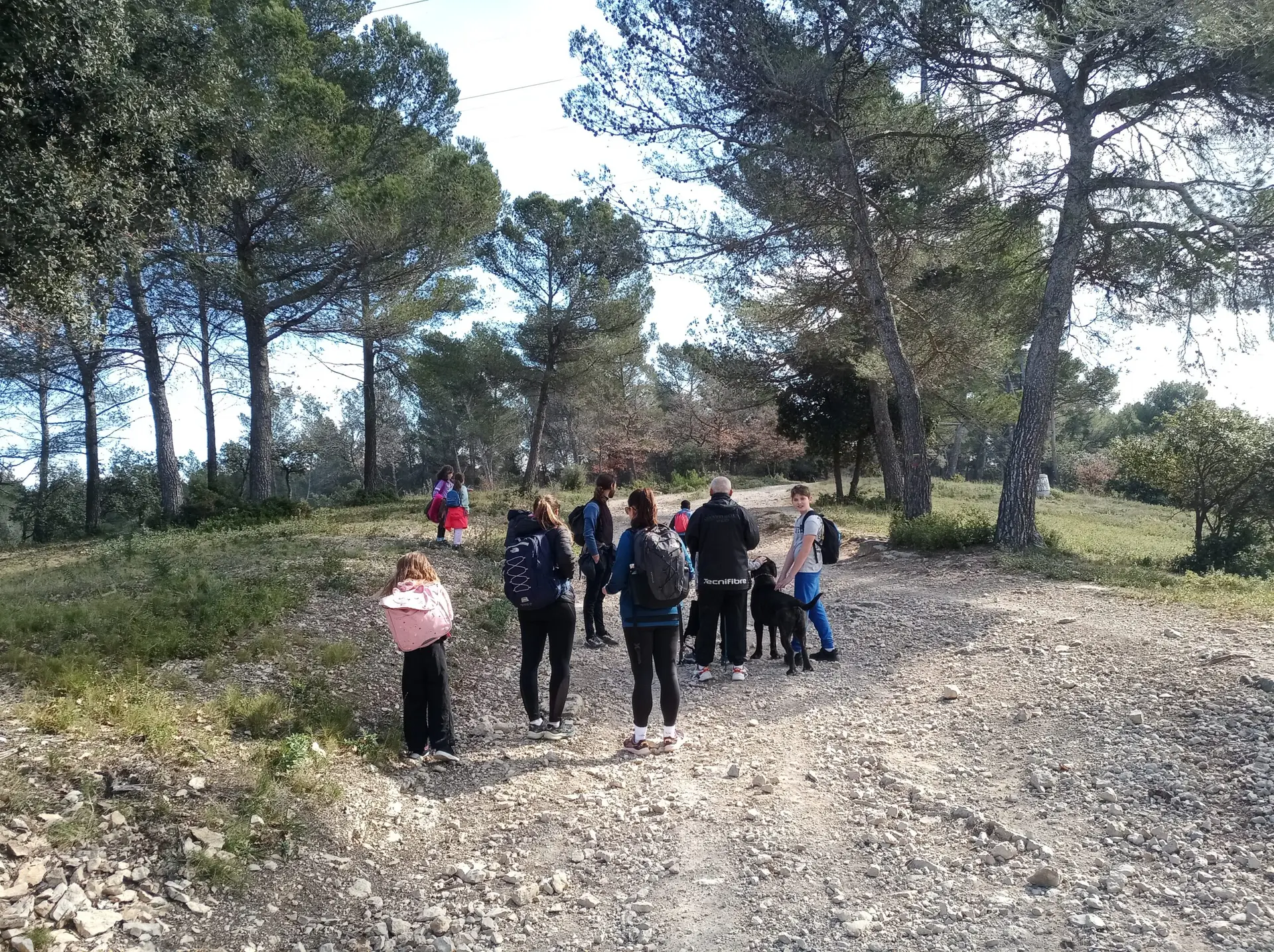 Enfants en balade