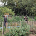 Interview du jardinier