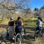 Velo Mini Sejour val pre vert