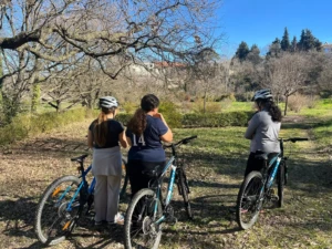 Velo Mini Sejour val pre vert