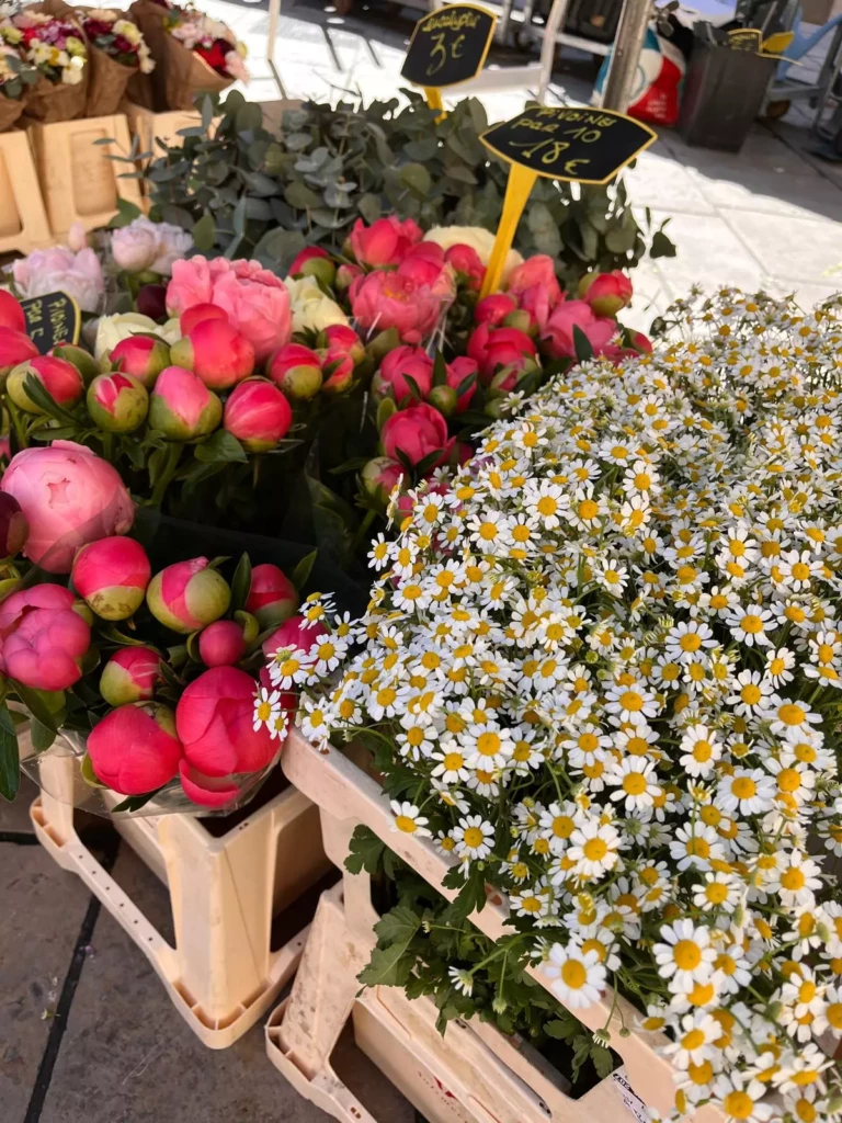 Fleurs fraîches au marché d’Aix-en-Provence lors d’un mini-séjour santé