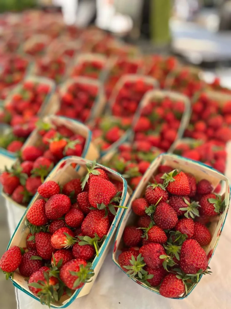 Barquettes de fraises fraîches au marché lors d’un atelier alimentation saine