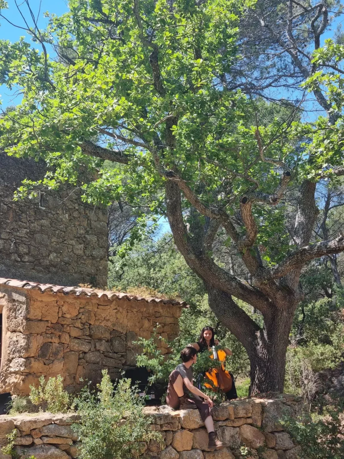 Musiciennes en pleine nature lors du projet Au Grand Air avec Val Pré Vert