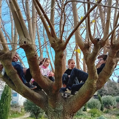 Enfants en haut d'un arbre